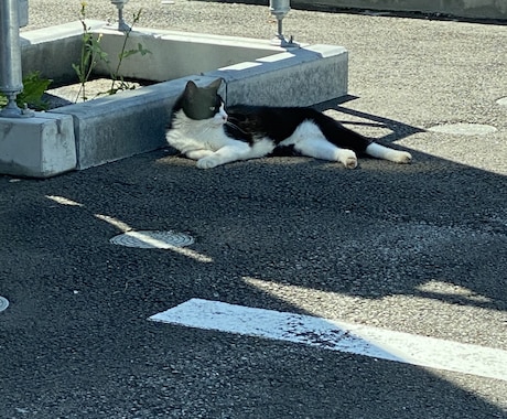 あなたの愚痴や悩み幸せなお話等聞きます 話したいことなんでも聞きます＾＾ イメージ1