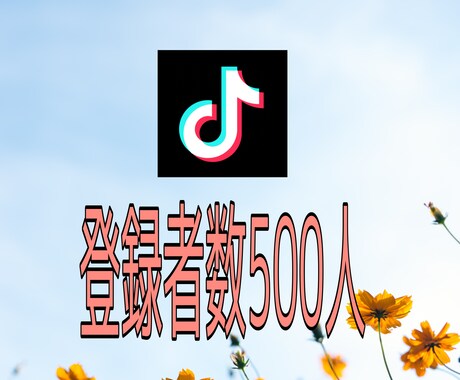 TikTokフォロワー500人増やします ★世界中の人にあなたを知ってもらいます★ イメージ1