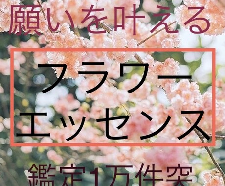 願いに合わせてフラワーエッセンス鑑定いたします 霊感霊視にてエッセンスを選びます イメージ1