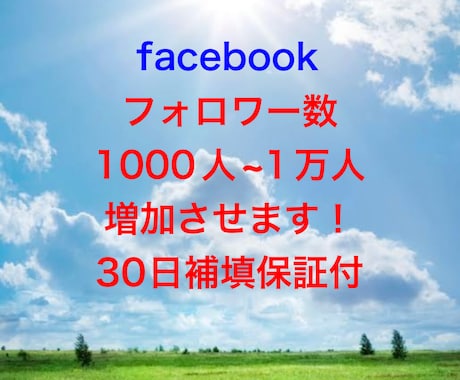 facebookのフォロワー数1000人増やします 安心できるこのお値段。オプション購入でもっとお得に！ イメージ1