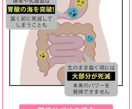 LP用の画像を制作致します コストパフォーマンスよく満足いただける商品を！ イメージ2