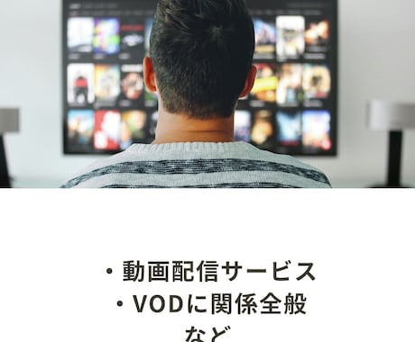 VODの紹介記事などを作成します SEO対策やアフィリエイト用の記事が必要な方へ！ イメージ1