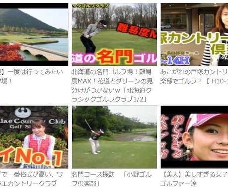 動画まとめサイトを作成します サラリーマンや主婦の方、新しい収入源、作りませんか？ イメージ1