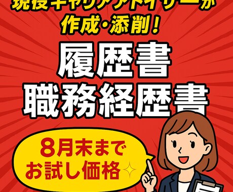お試し価格！現役CAが履歴書・職務経歴書を作ります 元人事コンサル・現CAが徹底サポート！8月末までお試し価格◎ イメージ2