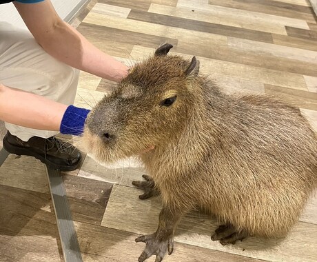 オーラパワーアップで運気を高めます オーラとチャクラのエネルギーを整え、運が良い状態を作ります。 イメージ1