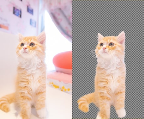猫や犬などの画像をふわふわのまま透過加工します ペットの写真を透過し合成やオリジナルグッズに利用できます イメージ1