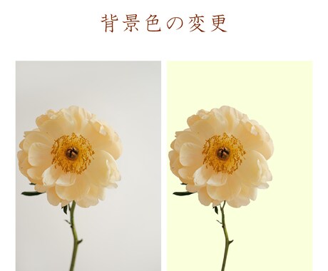 画像加工・文字入れ対応いたします SNS投稿用写真などご相談ください！ イメージ2