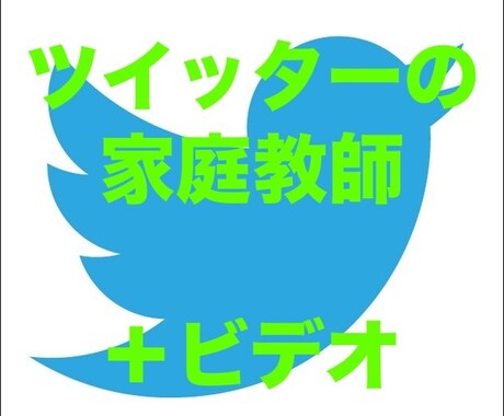 ツイッターを、コンサル（ビデオ＋7日間）します フォロワーの増やし方、エンゲージメント率アップをアドバイス イメージ1