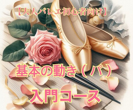 大人バレエの初歩の動きとバレエ用語を解説します 超初心者を丁寧にサポート！スタジオレッスンの復習も承ります。 イメージ1