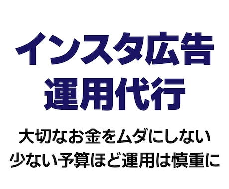 少額予算で効率運用！インスタ広告運用代行します 【現役WEB広告運用者】大切なご予算を無駄なく活かします！ イメージ1
