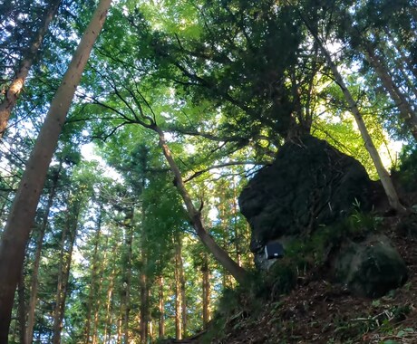 リウマチ、病気持ちのママの悩み、愚痴、相談聞きます 病気がある事で子育てが大変だと悩んでるお母さん達へ。 イメージ1