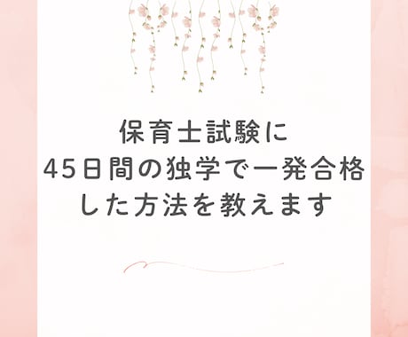 保育士試験に45日で合格した独学勉強法を教えます 低予算かつ短期間の独学で一発合格したい方向けにおすすめです イメージ1