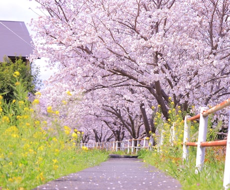 幅広く、悩みや愚痴などお聞きします 現役ホテルスタッフがあなたの悩みに寄り添います。 イメージ2