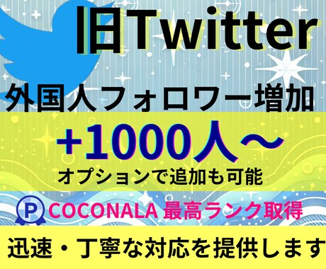 X・旧Twitterの外国人フォロワーを増加します X・旧Twitterのフォロワーの増加します イメージ1