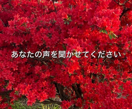あなたのお話を、じっくり丁寧にお聞きします 愚痴、心配ごとなど、優しくあなたに寄り添ってお聞きします イメージ1