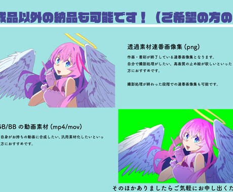 キャラクターを商業風ルックのアニメを制作します 素材納品から撮影処理までご気軽にご相談ください！ イメージ2