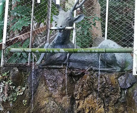 神社に代理参拝します 京都・奈良・大阪内の神社参拝おまかせあれ イメージ1
