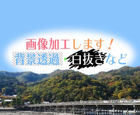 背景白抜き・透過します 背景加工以外の加工でもOK！（要相談） イメージ1