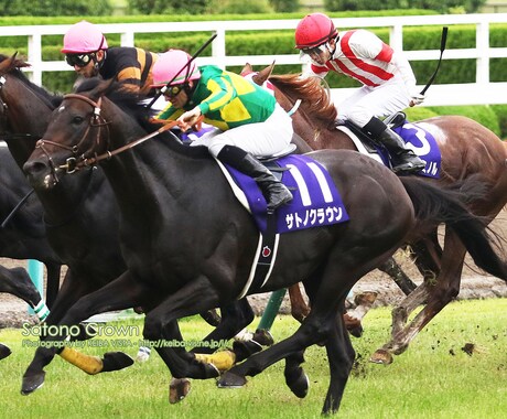 大井競馬・究極の馬券術教えます 競馬（大井競馬等）に興味のある人 イメージ1