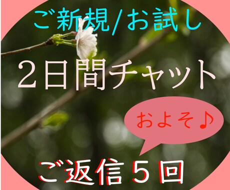 新規限定✿あなた想いと心身にじっくりと寄りそいます /心身の不安/人間関係/恋愛/家庭問題/HSP/愚痴/雑談 イメージ1