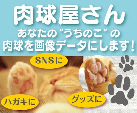 あなたの"うちのこ"の肉球を画像データにします "うちのこの肉球"をSNSやグッズに使えます!! イメージ1