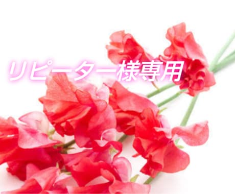 碧のリピーター様専用ページとなります ✦✦恋愛専門✦✦恋愛に関するすべてのお悩みに寄り添います イメージ1