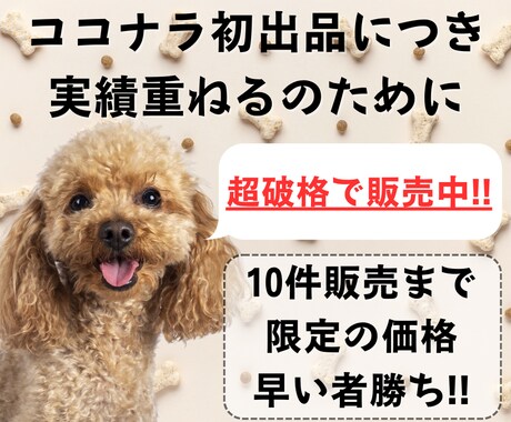 なかなか結果が出ない初心者を救うAI副業教えます ChatGPTを活用し時間が無くでもサクッとできるスキマ副業 イメージ2