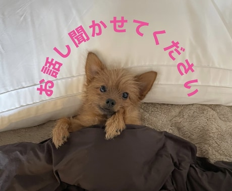 4月限定価格◆3日間フリートークお話し聞きます 電話は苦手だけどトークなら話したいという方大歓迎‼︎ イメージ1