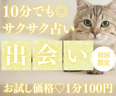 お試し♡10分でサクッと、あなたの出会いを占います 【7月末まで♡初回限定】1分200円→100円｜時期・人物像 イメージ1