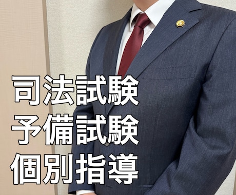 現役弁護士が司法試験・予備試験の個別指導をします 司法試験論文民事系科目オールＡの弁護士が低価格で個別指導！ イメージ1