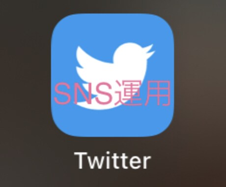 Twitterのアカウントを運営します 温かみのあるコミュニケーションが得意です。 イメージ1