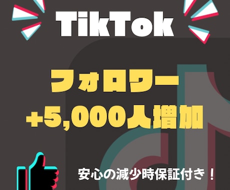 TikTok フォロワー+5,000人増やします ティックトック+5,000人~ 保証あり！ イメージ1