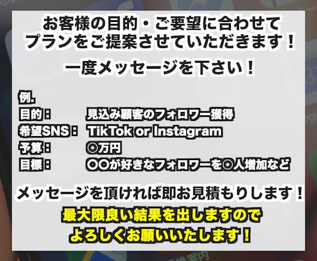SNSのプロがあなたのSNSアカウントを運用します 採用単価を10万円に！フォロワー100万人がサポート！ イメージ2
