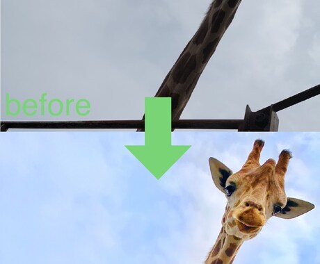 きれいに画像加工します 写真を明るく鮮やかな加工に仕上げます！ イメージ2