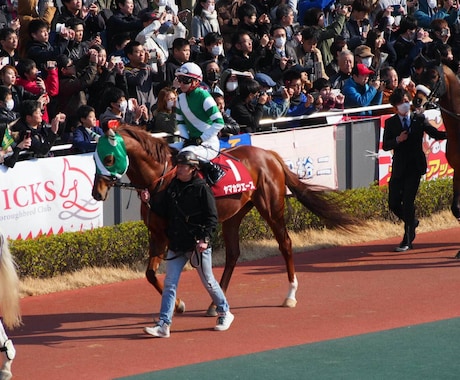 競馬の予想を提供します 最近不調なあなた、また、初心者の方 イメージ1