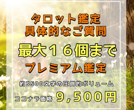 質問最大16個！細部まで充実！幸せへ導きます 文字数も引ける枚数も最多！お伝えできる情報も充実です！ イメージ1