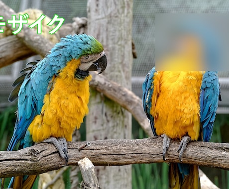 いろんなジャンルの文字起こします 【即納可能】どんな動画でも文字おこしを行い編集も致します。 イメージ2