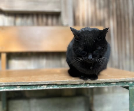 あなたの才能の目覚めを後押しします ！持って生まれた才能や特殊能力を霊感霊視で見定めます イメージ2