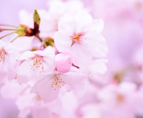 深い苦しみに寄り添い♡あなたの心を包みます 病と向き合う貴方へ⭐️言葉にならない想いをそっと受け止めます イメージ1