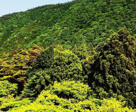 心の悩み１週間あなたの恋人になったりあなたの思う１週間何でも相談相手になります。 イメージ2