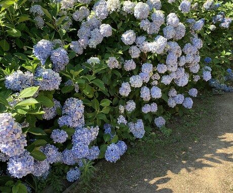 ハッとさせ、視野を広げるお手伝いをします オラクルカードをネガティブなあなたに。優しく支えます イメージ1
