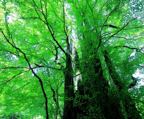 霊的な若返りの術を施術します 体も心もイキイキとした現在に！ イメージ1