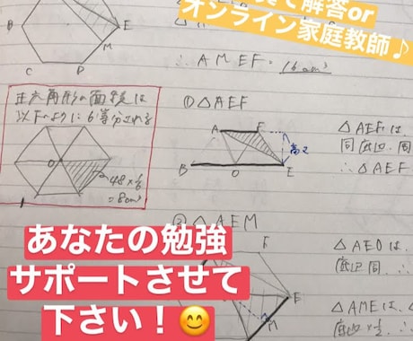 図式で理解！九大卒講師がオンライン家庭教師をします 単発利用/英数/平均点以下～受験/人気講師/平日土日問わず イメージ2