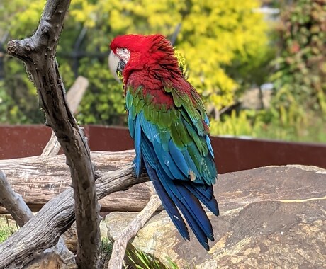 お望みの写真をお届け致します 自然、動物、など色々な写真を提供致します。 イメージ2