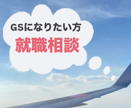 元航空会社GSが夢を叶えるお手伝いをします イメージ1