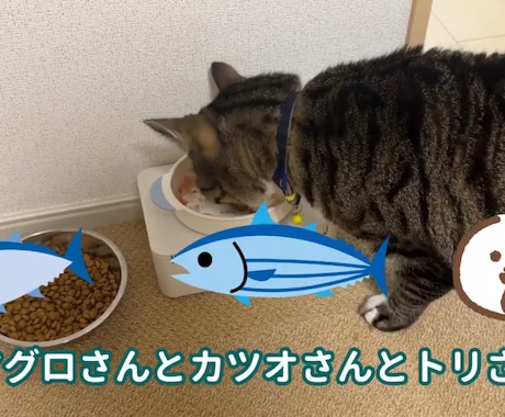 簡単なロングやショートの動画編集します カットだけ、字幕だけOKSEやBGM挿入もできます イメージ2