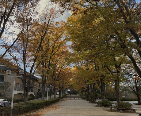 大学生の日常を切り取った写真を提供します 作り込みすぎない、Z世代の日常素材 イメージ2