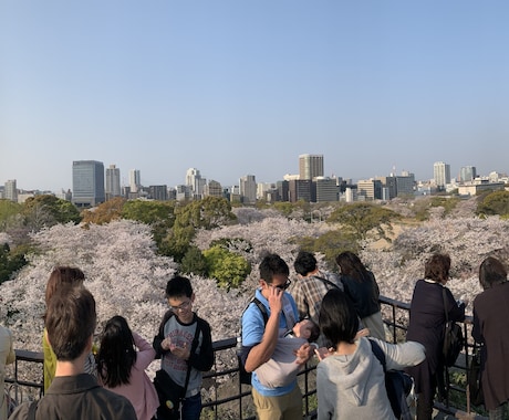 熊本県、福岡県の旅行プランを提供します イメージ1