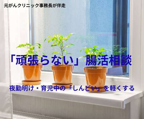 元がんクリニック事務長が伴走！頑張らない腸活します 夜勤や育児で忙しい方へ。現場経験を活かした無理のない食事提案 イメージ1