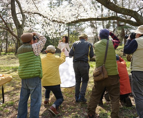 芸能で活動したい人への相談を受けます 地方で芸能を目指している人は、必見です！ イメージ2